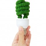 Choosing Energy Efficient Lighting Without Toxicity