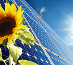 Solar Energy: Good for the Environment and Your Business
